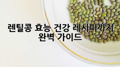 렌틸콩 효능: 건강 레시피까지 완벽 가이드